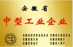 庐江矾矿速凝剂厂