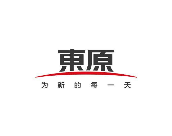 東原房地產(chǎn)開發(fā)集團(tuán)有限公司