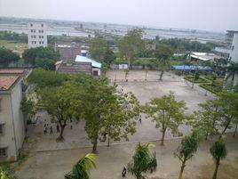 杨河村