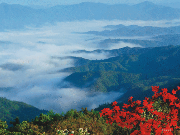 瑞金八景