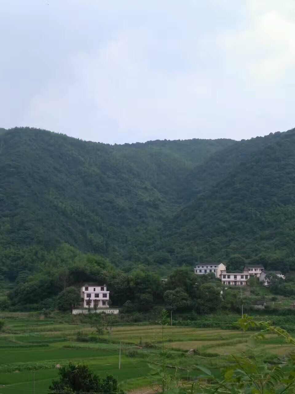 硫市村