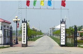 里自沽农场