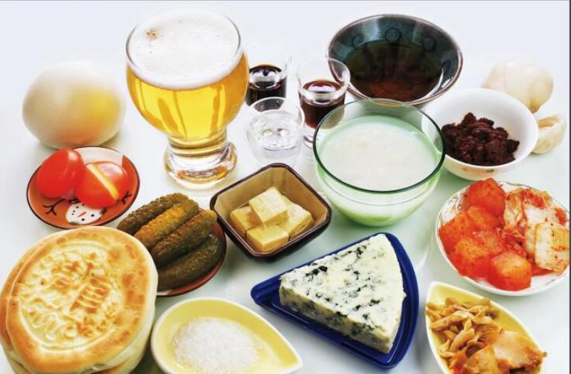 發(fā)酵食品微生物