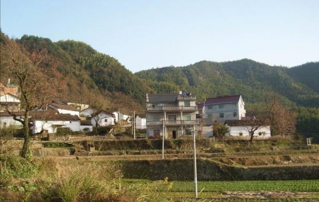 東留村