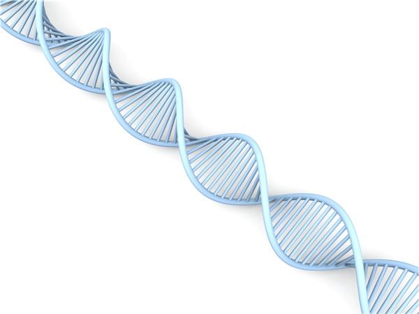 高分子链