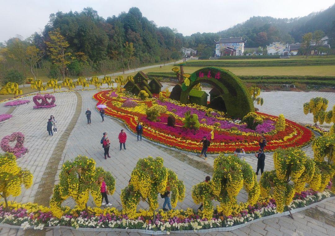 菊圃