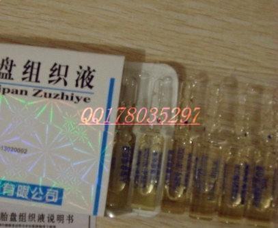 持久黃體
