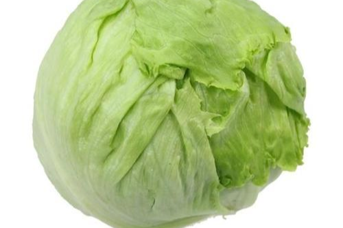 团生菜