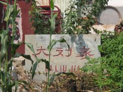 大刘家村