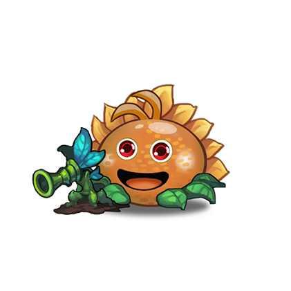太阳花冈布奥
