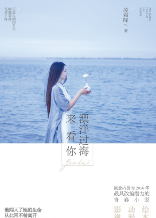 漂洋過海來看你