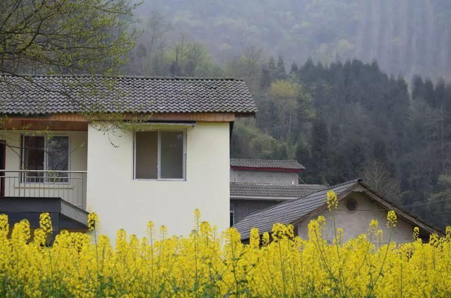 墁坪村