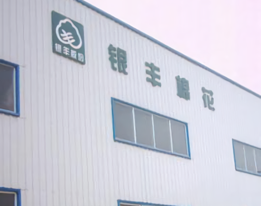 湖北银丰棉花股份有限公司