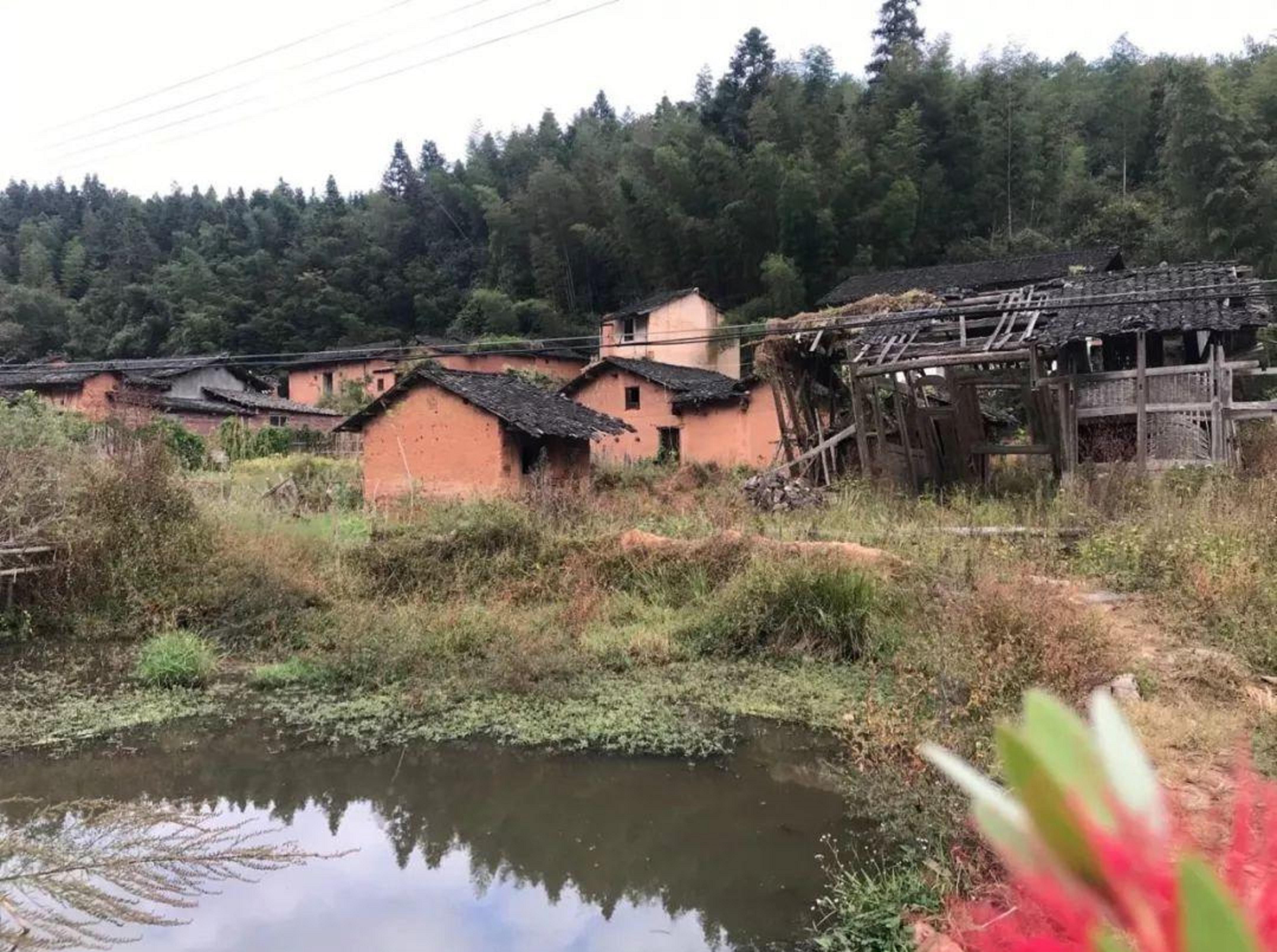 睦渊村