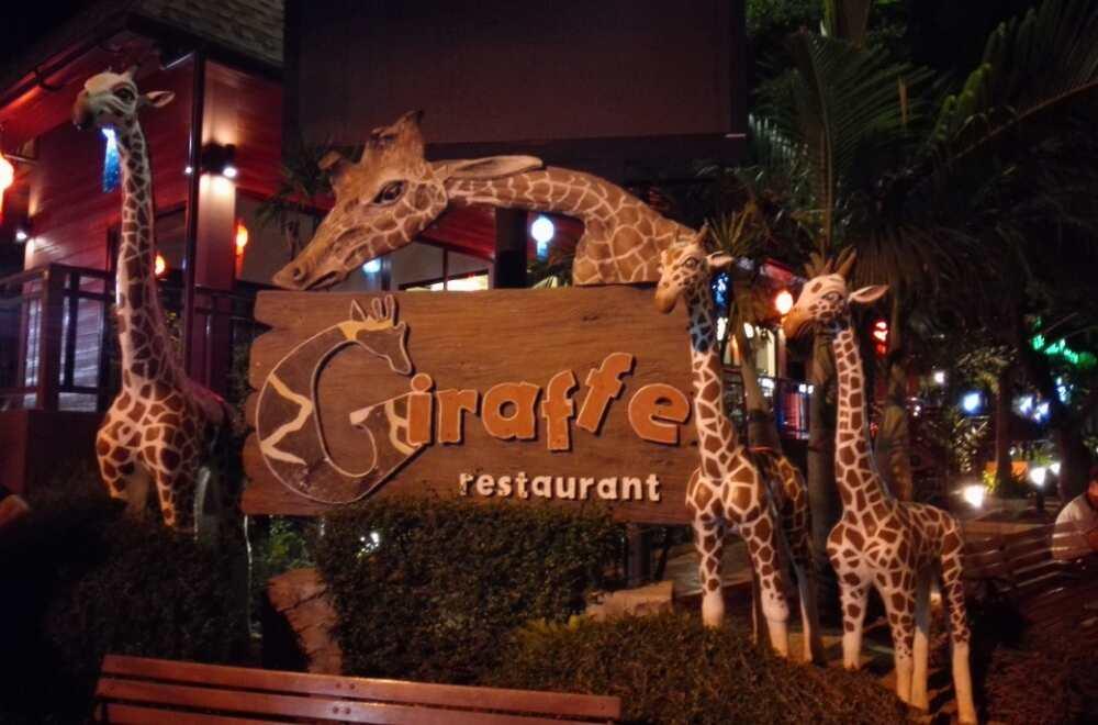 清邁夜間動物園