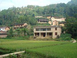 茅草坪村