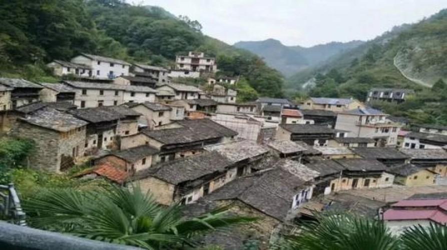 岛石村