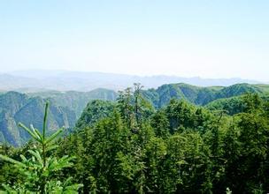 贵清山国家森林公园