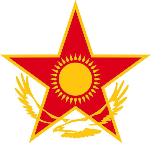 哈薩克斯坦空軍