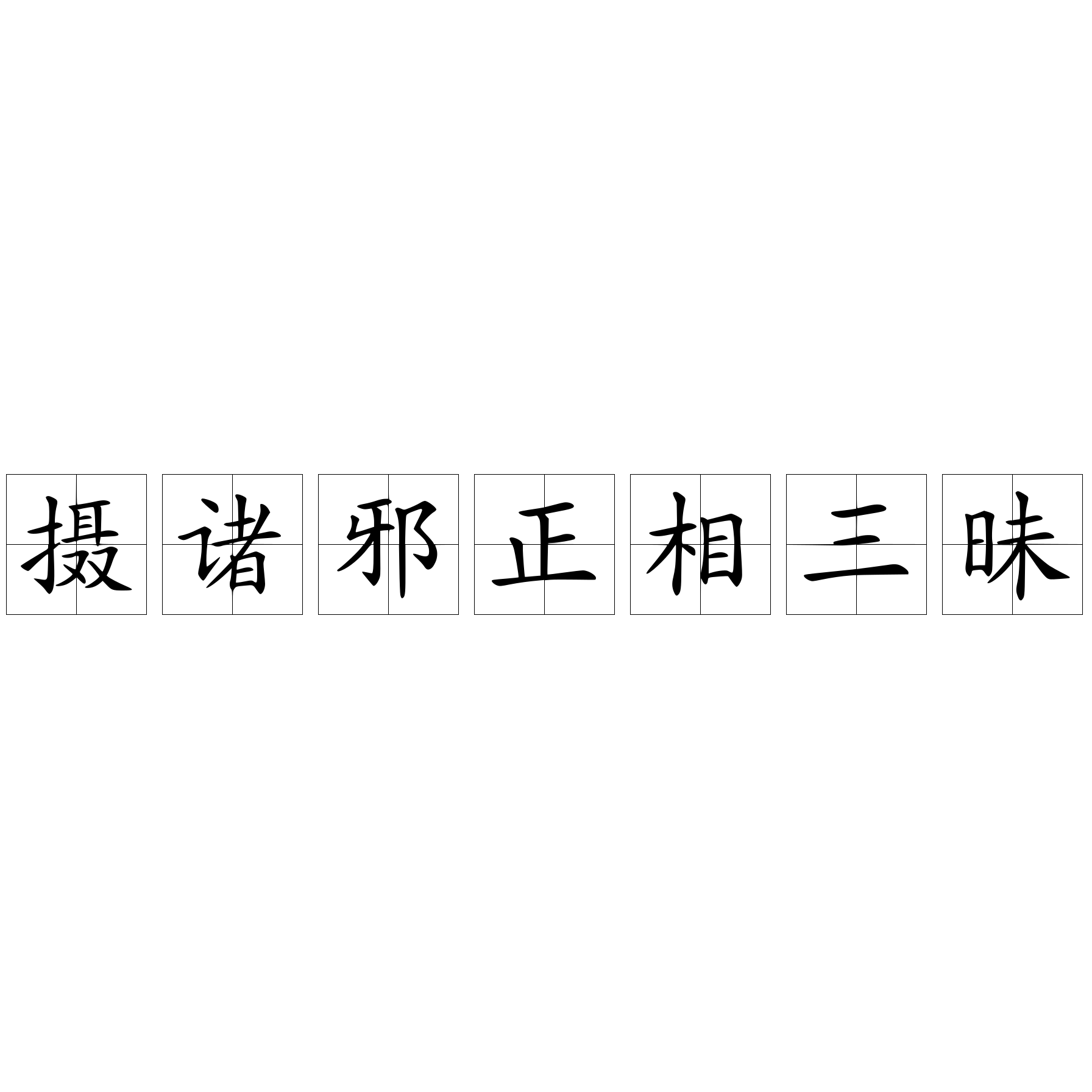 攝諸邪正相三昧