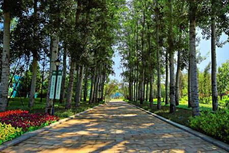 未來(lái)科技城濱水森林公園