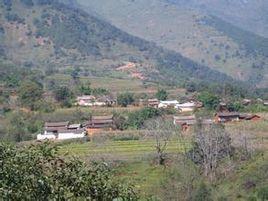 李家坪村