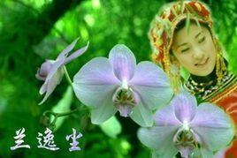 蘭逸塵