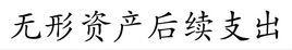 无形资产后续支出