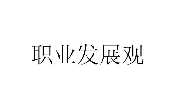 职业发展观