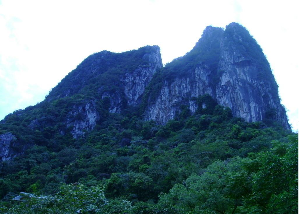 西青山