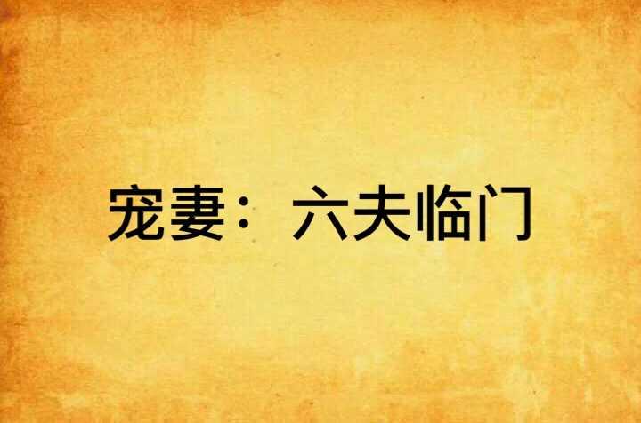 寵妻：六夫臨門