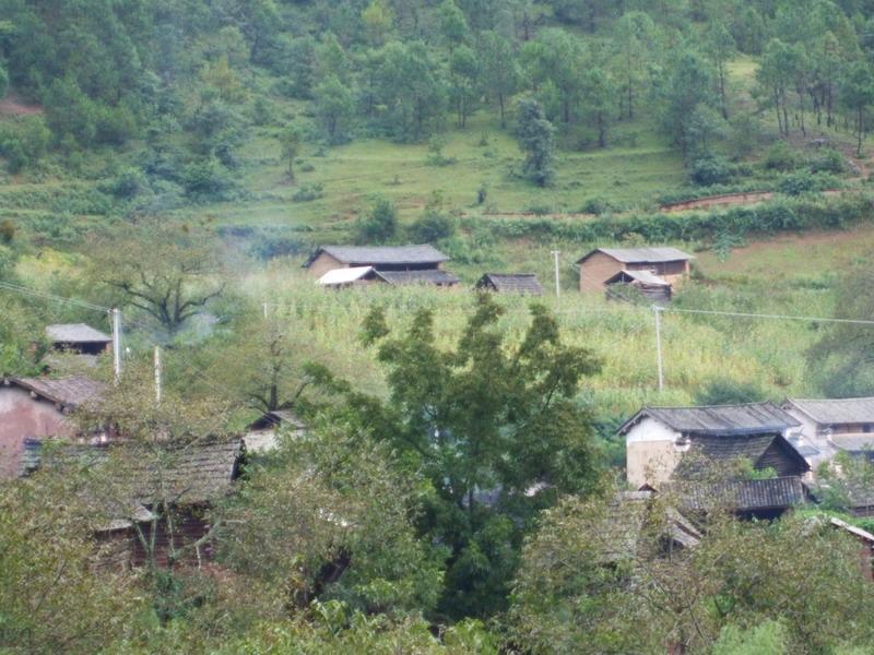 碧清村