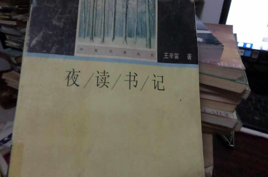 夜读书记