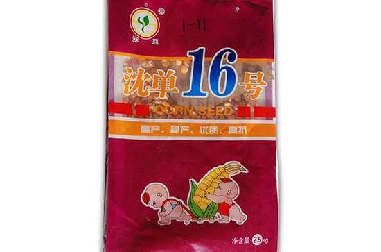 沈单16号