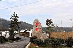 叶村