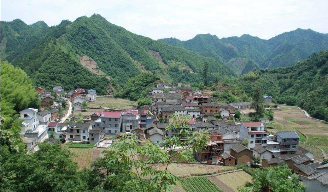 孫井村