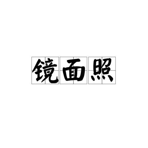 镜面照