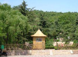 昆侖山國家森林公園