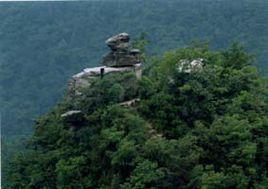 郭家河鄉(xiāng)