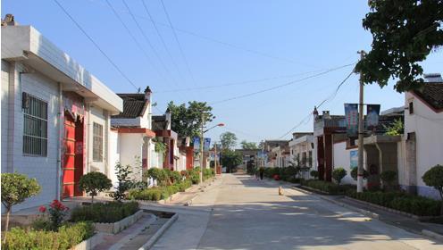 庞家务村