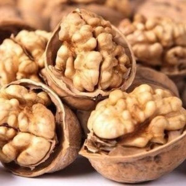 新疆大核桃