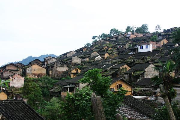 油岭村