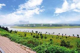 小河東村