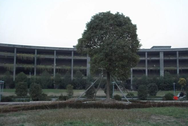 汉帛国际集团公司