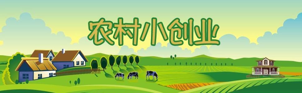 创业小项目