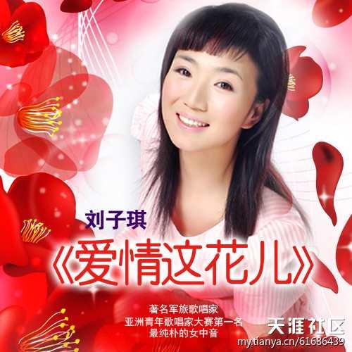 愛(ài)情這花兒