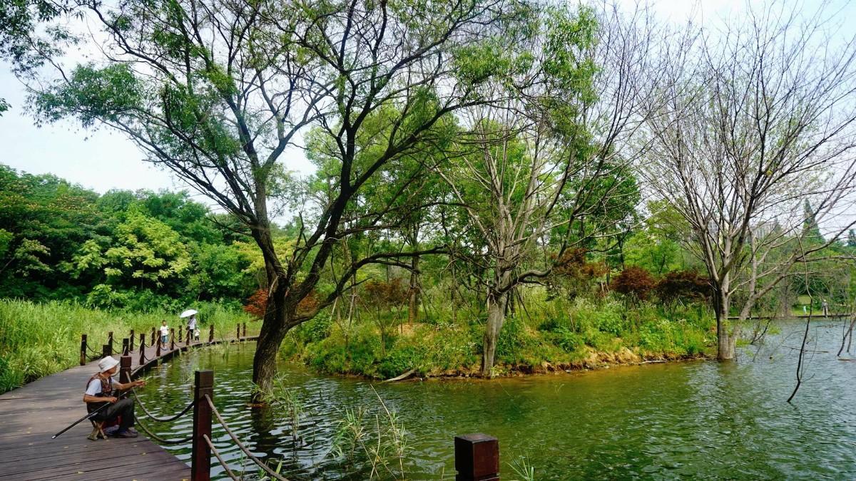 大通濕地公園
