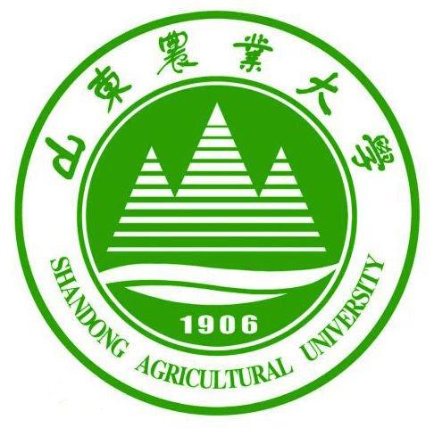 山东农业大学体育与艺术学院