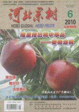 河北果樹