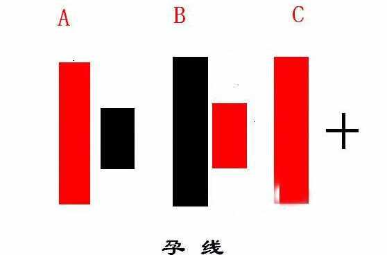 孕十字线